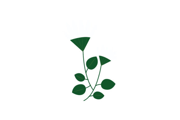 Boho Color Floral Plant Illustration-14: A Designer's Real-World Review