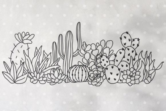 Cacti and Succulents Floral Border for Graphics & Illustrations