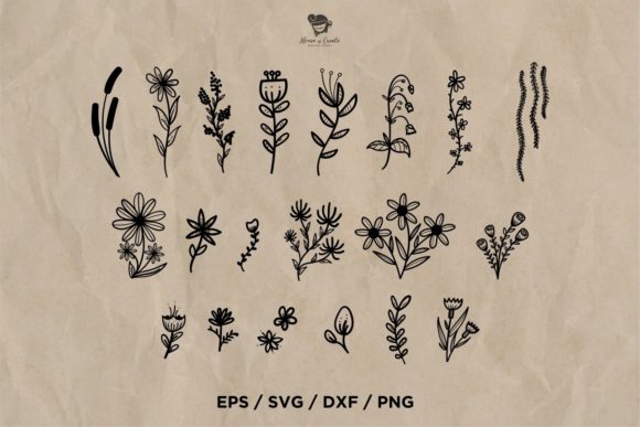 Floral and Branches Set: Graphics & Illustrations Review