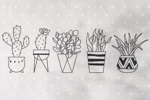 Floral Boho Cactus: A Fresh Graphics and Illustrations Choice for Modern Brands
