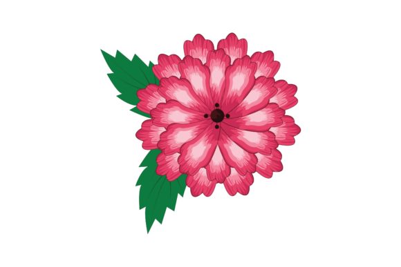Pink Decoration Floral Flower Vector Graphics for Illustrations