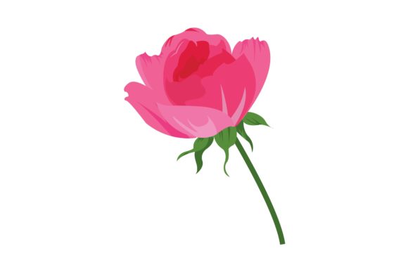 Pink Floral Digital Illustration for Modern Graphics